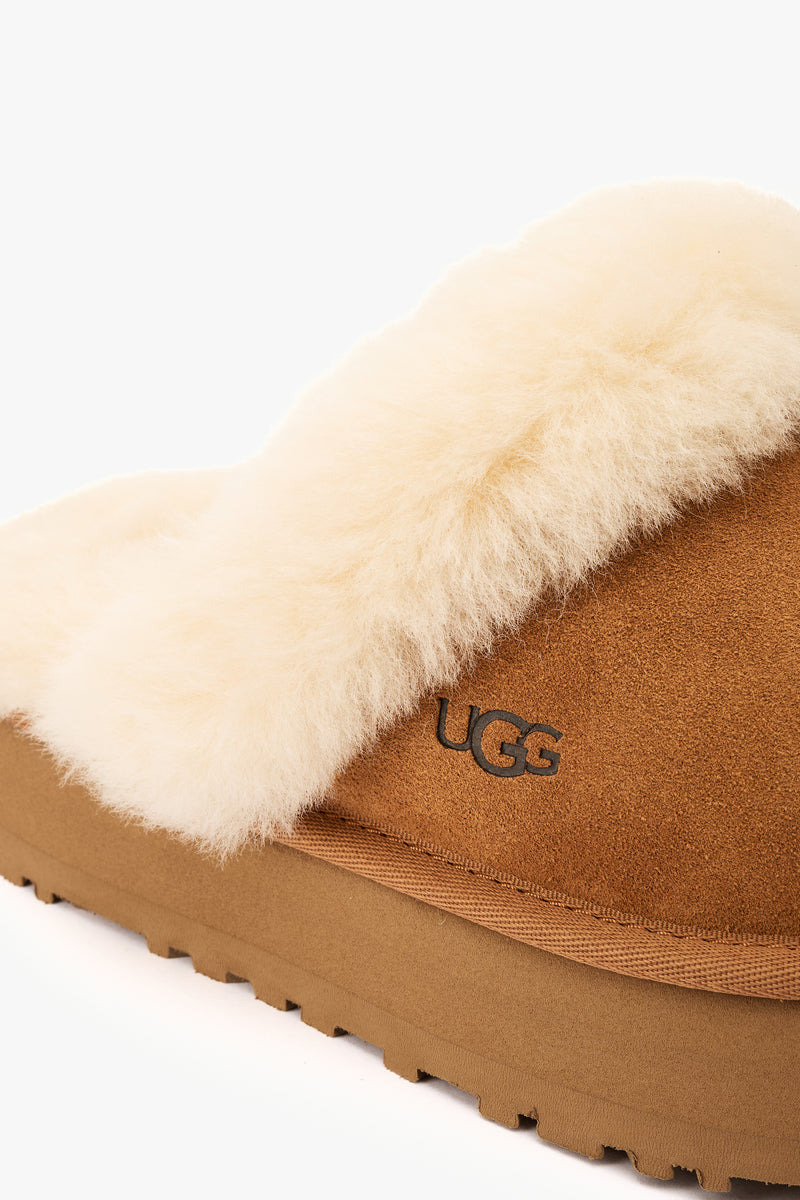 Ugg Disquette chestnut