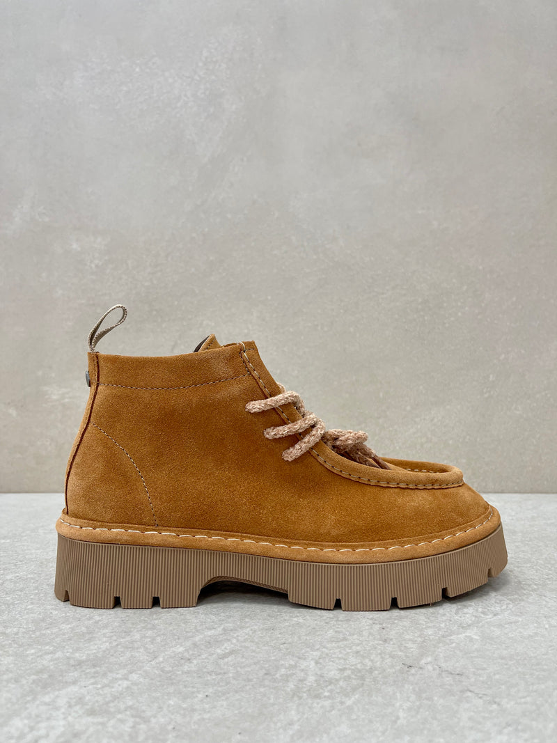 Polacchino brown sugar