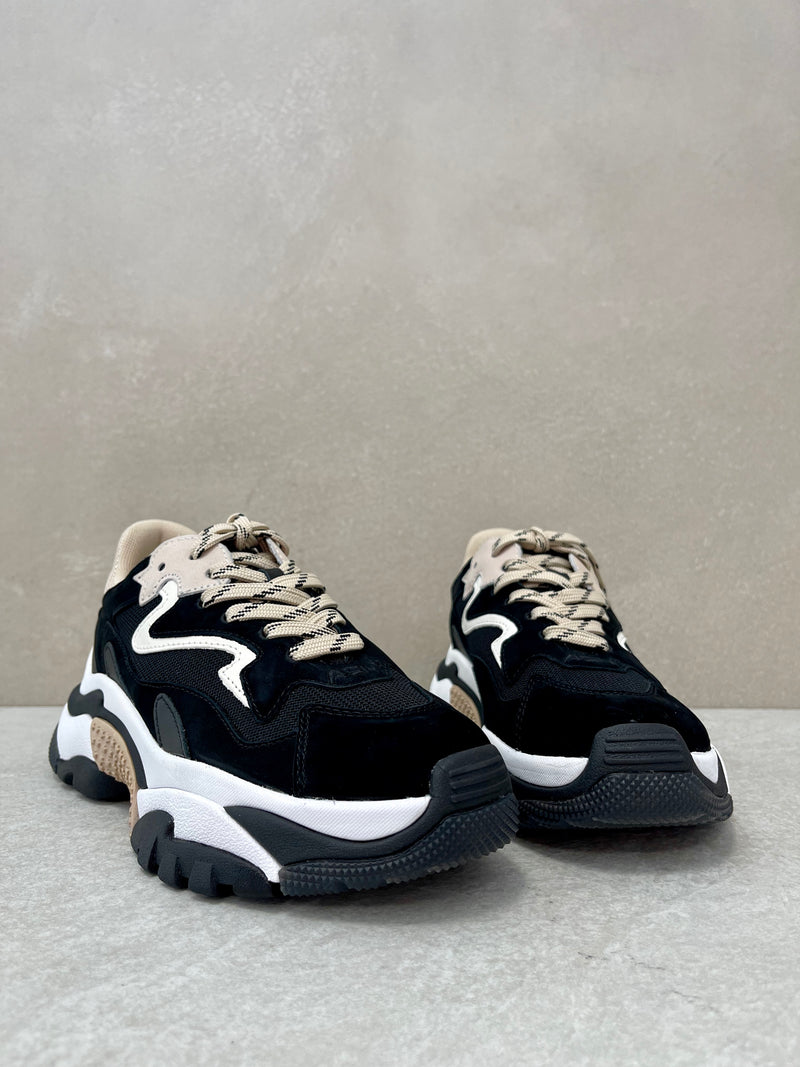 Sneaker Addict black