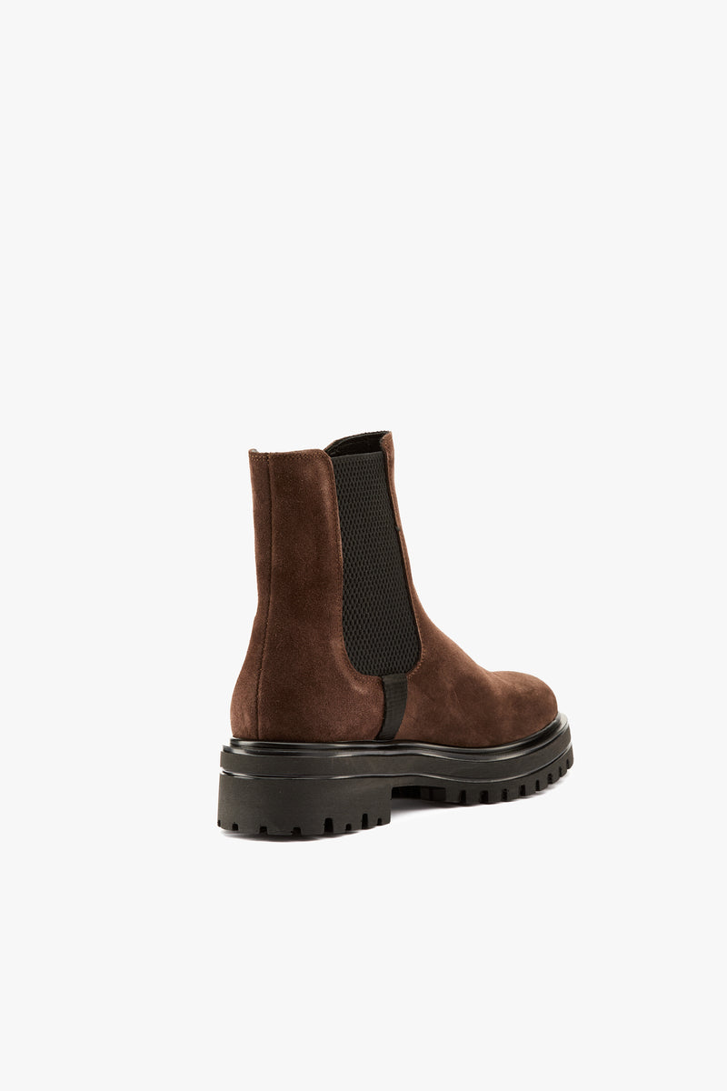Stivaletto chelsea camoscio testa moro
