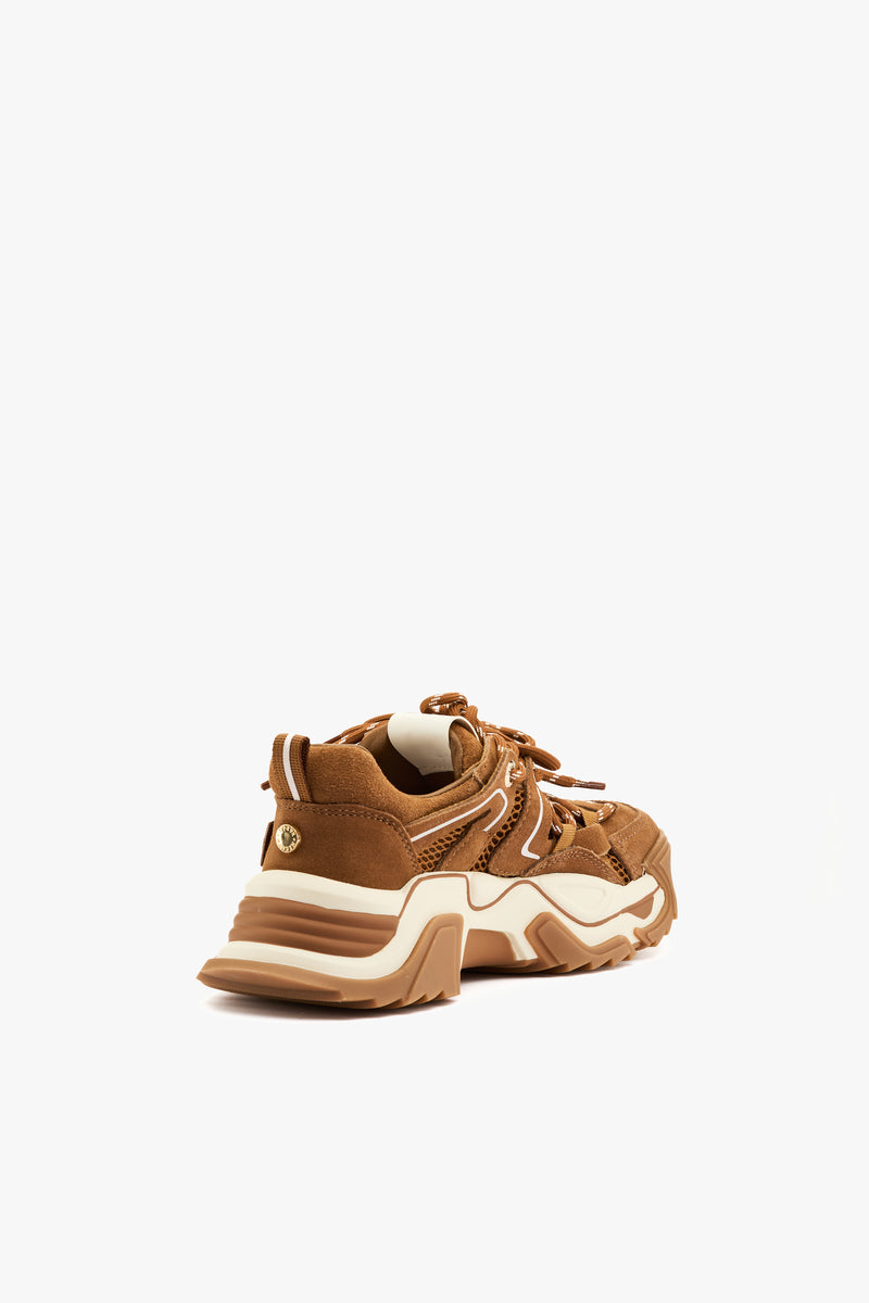 Sneaker Kingdom chestnut