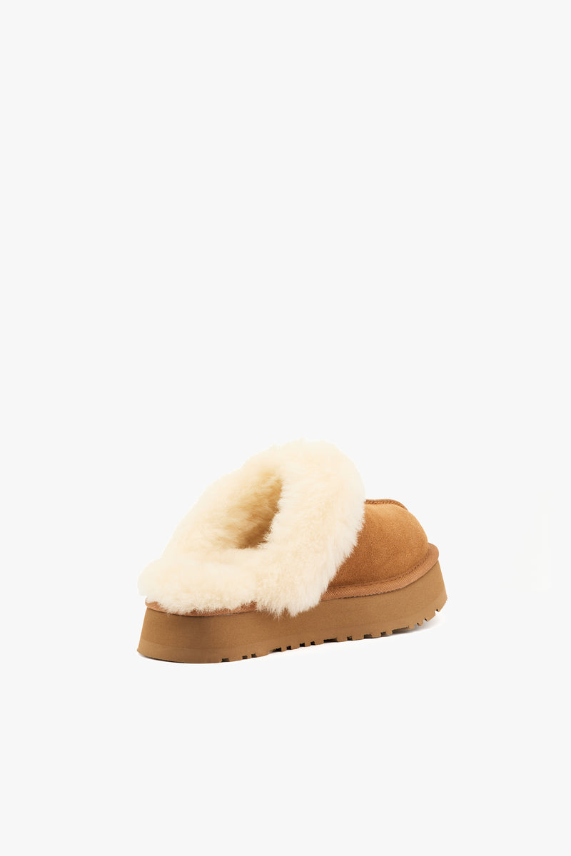 Ugg Disquette chestnut